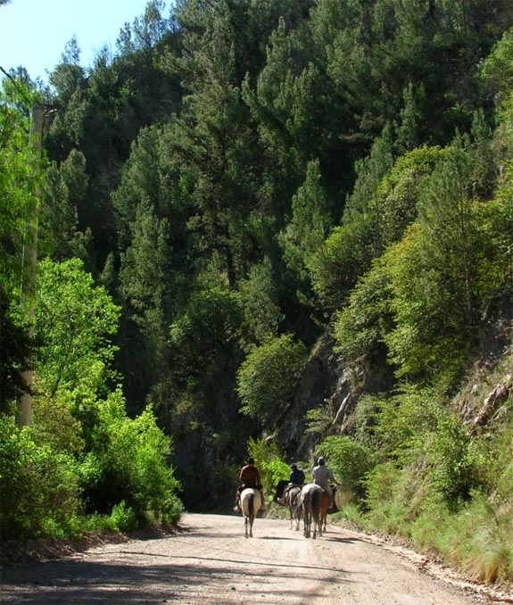 Valle de Punilla :: Córdoba, Argentina